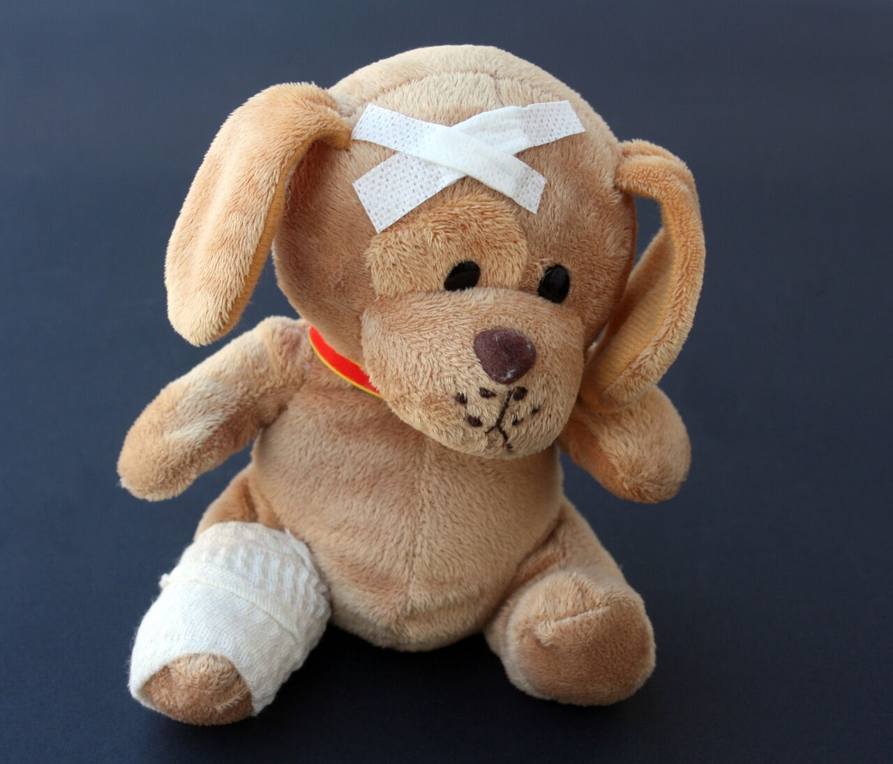Stofftier-Hund mit einem Pflaster auf dem Kopf und einem verbundenen Bein